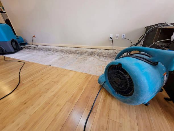 Professional Flood Damage Cleanup technician working in Allyn, WA